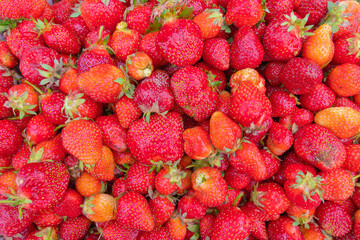 Strawberry. Fresh organic berries macro. Fruit background