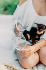 two glasses in hands with little dog