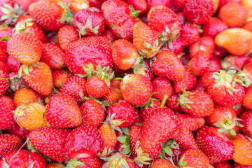 Strawberry background. Strawberries.