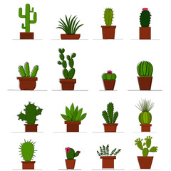 vector, isolated, green cactus in a pot, one line drawing, set