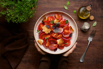 Female hands holding a bowl with Tomato panzanella with bread, onions and olive oil. Traditional Mediterranean Italian Cuisine