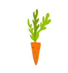 Orange carrot colorful cartoon vector illustration.