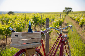 Bouteilles de vin dans les vignes à l'arrière d'un vieux vélo rouge abandonné par le...