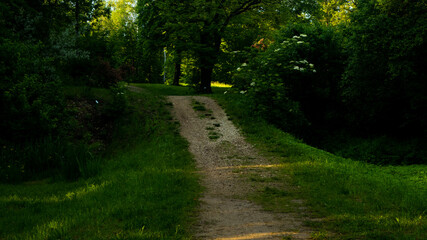 
Landscapes and views in the Botanical Garden in Radzionków. Ready for entry.
