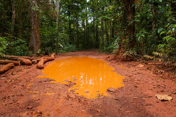 Orange colored water sheet on a red jugle road near Brownsberg, Suriname