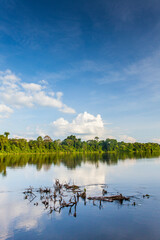 View on the Suriname river and jungle near Berg en Dal jungle resort, Suriname