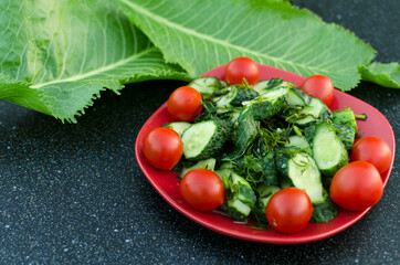 Closeup of red dish full of cherry tomatoes, cucumbr and dill, horseradish leaves on the dark kitchen table