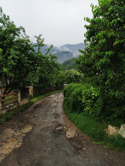 View on a broken village road after rain. Evaporations at the mountains. Traveling and hiking.
