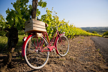 Vélo du vigneron dans les vignes au soleil en France.