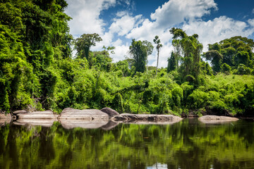 View on the Suriname river in Upper Suriname, Awarradam jungle camp