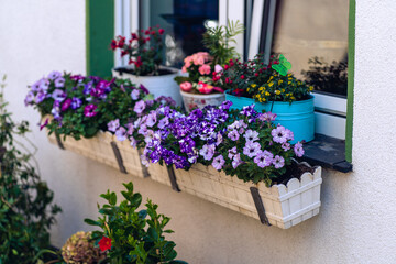 window box with flowers in historic city