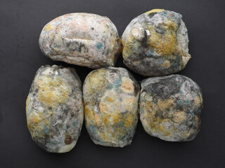 Mouldy old bread dark background. Top view.