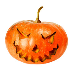 Halloween Pumpkin