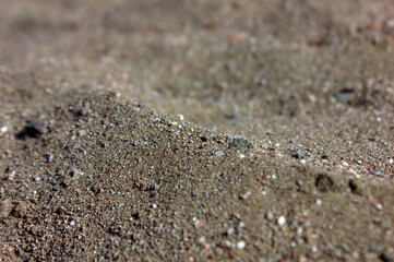 Fototapeta na wymiar Natural texture of wet sand. Close-up photo. Background.
