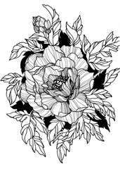 Common peony with leaves tattoo design, black and white hand drawn illustration on paper 
