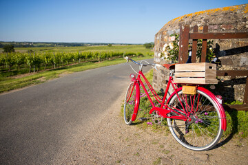 Fototapeta na wymiar Caisse de vin à l'arrière d'un vieux vélo rouge dans les vignes en France.