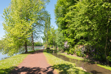 Fototapeta na wymiar Beautiful river & forest during the spring season on a sunny day, Flers, Normandy, France. Green foliage in the background that reflects in the water. Luxurious peaceful nature.