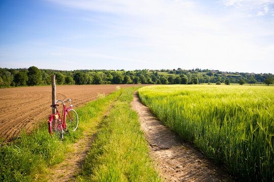Paysage naturel, chemin de terre à travers la campagne et vieux vélo rouge.