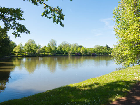 Beautiful lake during the spring season, Flers, Normandy, France. Green foliage in the background that reflects in the water. Sunny day in the park.