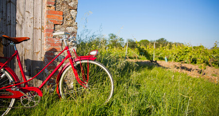 Fototapeta premium Vieux vélo rouge dan la campagne au printemps.