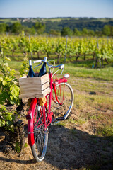 Vieux vélo rouge dans les vignes en France, caisse de bouteilles de vins sur le porte bagages. - obrazy, fototapety, plakaty