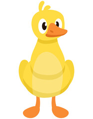 Gosling front view. Farm animal in cartoon style.