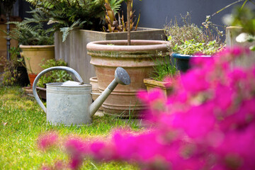 Petit jardin au printemps, charmant avec arrosoir et pots. © Thierry RYO