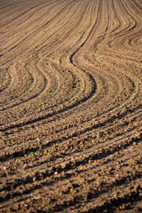 Naklejka premium Sillon dans la terre en campagne.