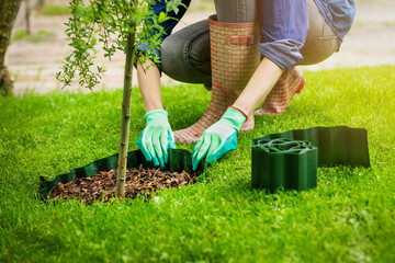 woman install plastic lawn edging around the tree in garden - obrazy, fototapety, plakaty