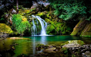 Peel and stick wall murals Forest river waterfall in the forest