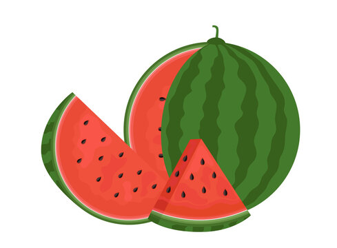 Concept of watermelon and juicy slices. Flat style. Vector illustration on a white background.
