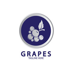 Grapes Vector Logo Icon isolated. Organic Wine branding template. Nature Grapes Logotype