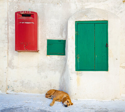 Island of Ponza, Italy. August 16th, 2017. A dog takes a nap on a hot summer afternoon.