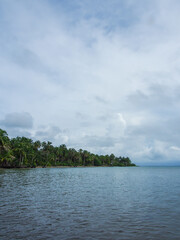 Tropical beach with Palmtrees at the islands of Bocas del Toro, Panama, Central America