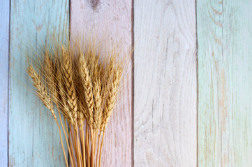 bread ear against the background of a wooden fence