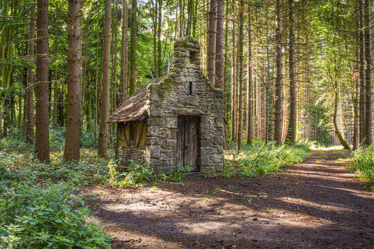 Vieille chapelle perdue dans un bois