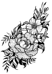 hand drawn peony flowers with different leaves. black and white tattoo sketch on paper 