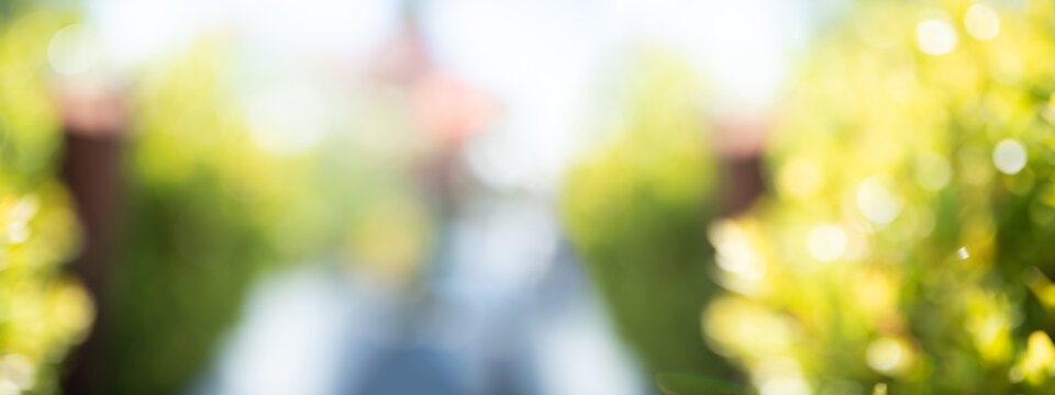 Blurred park landscape_001