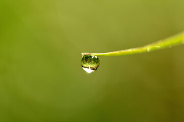 Macro detail of dew drops on a blade of grass in which the beautiful spring meadow is reflected