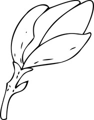 vector black and white botanical element, wildflowers and garden flowers - magnolia, coloring book