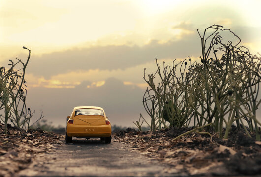 This is a yellow toy miniature car created and edited by me. road and tree This is artificial. evening time