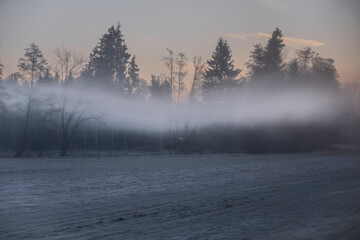 Winterlandschaft mit Nebel und Schnee