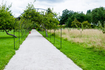 Path in the garden in Fulham Palace summer, London, United Kingdom 
