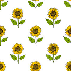 Seamless pattern with yellow hand drawn sunflowers