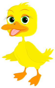 little yellow duck on a white background.Cartoon vector illustration