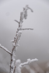 Winterlandschaft