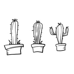 hand drawn doodle cactus illustration vector cartoon style