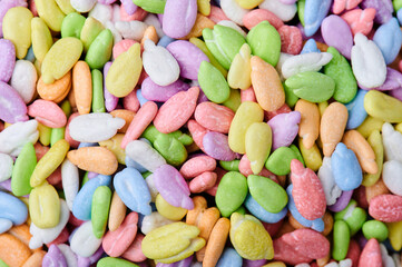 Close up of colorful sunflower seeds