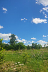 On the edge of the forest stands a lonely house