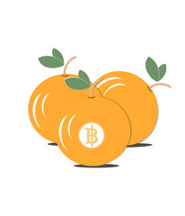 vector illustration of an orange fruit